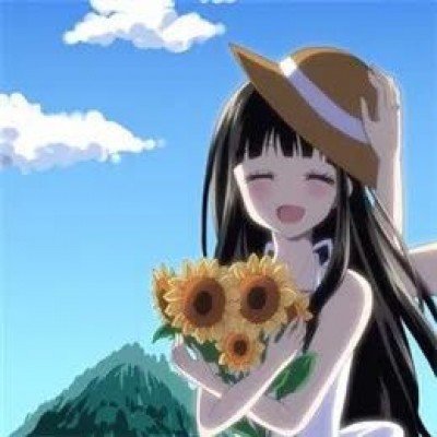 游客花钱雇轿夫抬狗逛峡谷